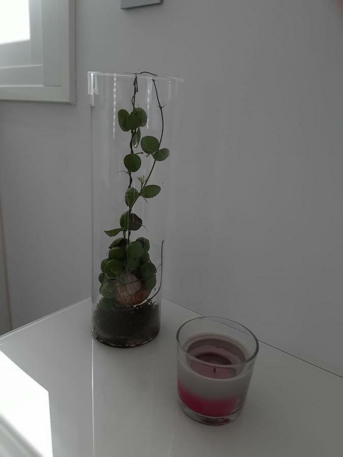 Loft Of Love ฟรีฮิเลียนา ภายนอก รูปภาพ